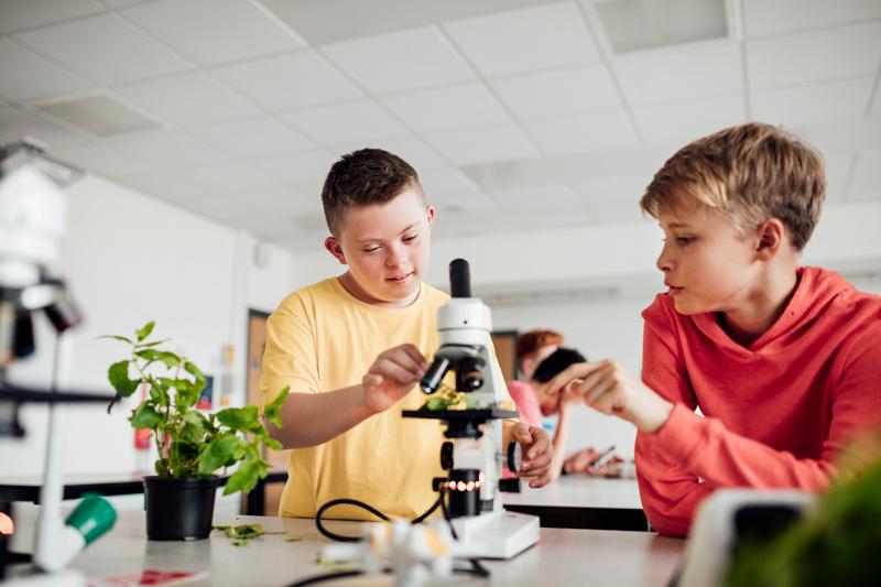 Image of two children looking at a mircoscope that has leaves fro ma nearby plant under it.